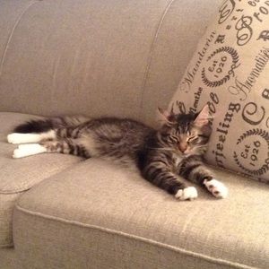 Meet your Posher, Kris